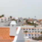 Costa Adeje Garden 아파트호텔