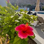 Hotel apartamentowy Costa Adeje Garden 4*