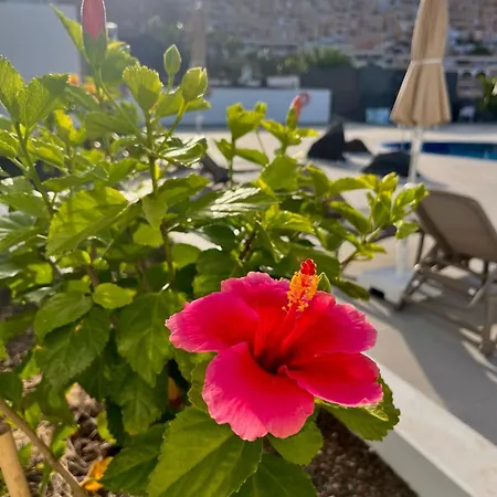 Aparthotel Costa Adeje Garden 4*