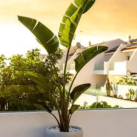 Costa Adeje Garden 4*